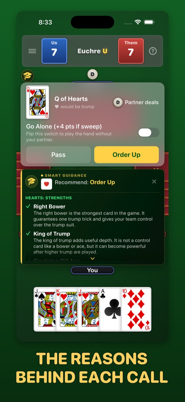 The reasons behind a bidding suggestion